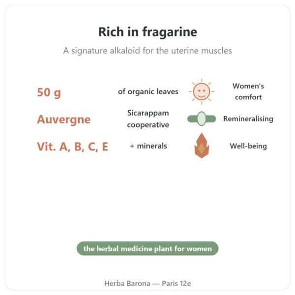 Organic Raspberry Leaf – Les Jardins de Gaïa – 50 g benefits and key facts Paris Herba Barona