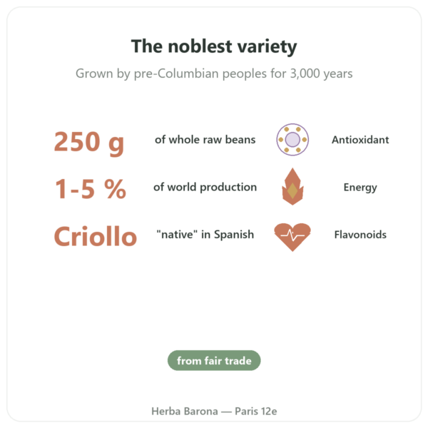 Organic Raw Criollo Cacao Beans – Saldac – 250g benefits and key facts Paris Herba Barona