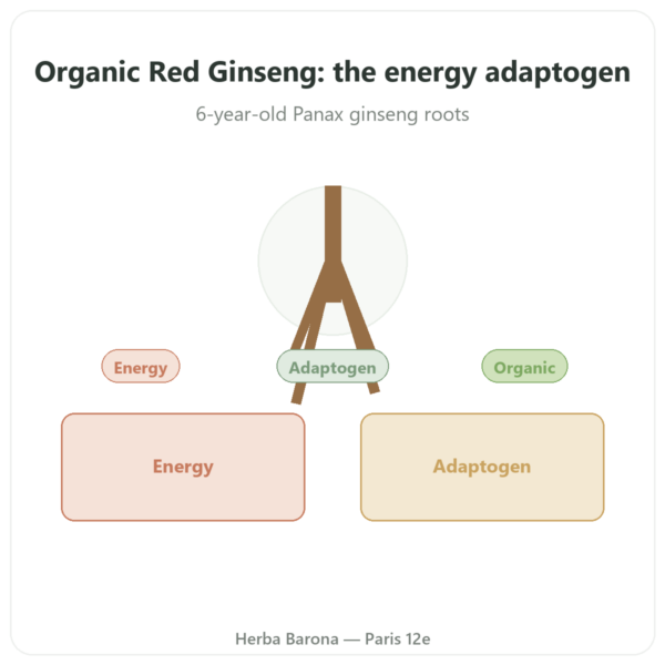 Organic Red Ginseng – Dynveo – 20% Ginsenosides – 200mg – 60 Capsules presentation Paris Herba Barona