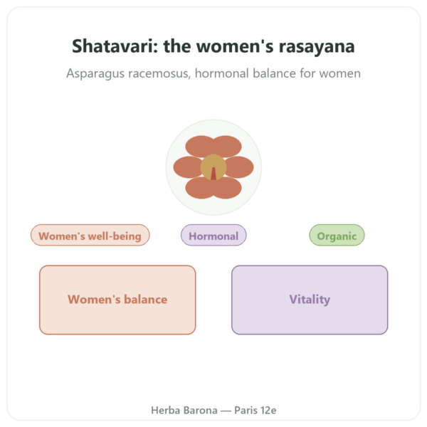 Organic Shatavari – Ayur-vana – 60 capsules presentation Paris Herba Barona
