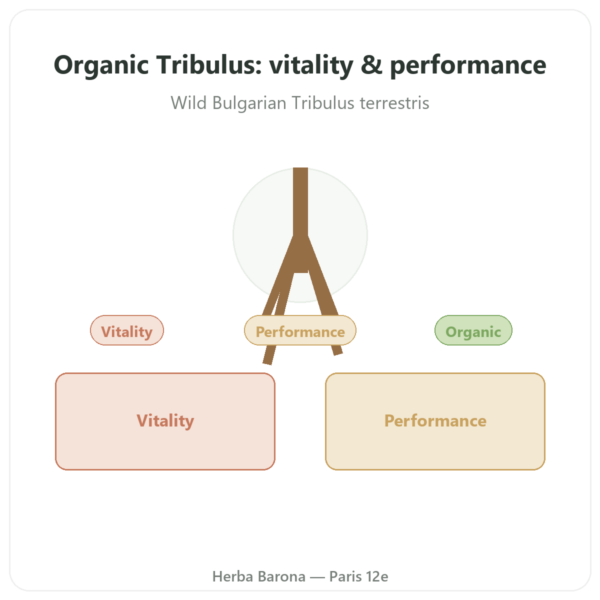 Organic Tribulus – Dynveo VemoHerb TS – 90% Saponins – 120 Capsules presentation Paris Herba Barona