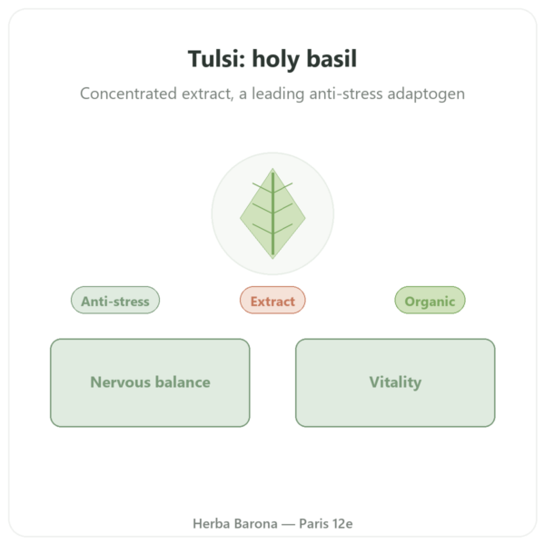 Organic Tulsi Extract (Holy Basil) – 60 capsules – Ayur-vana presentation Paris Herba Barona
