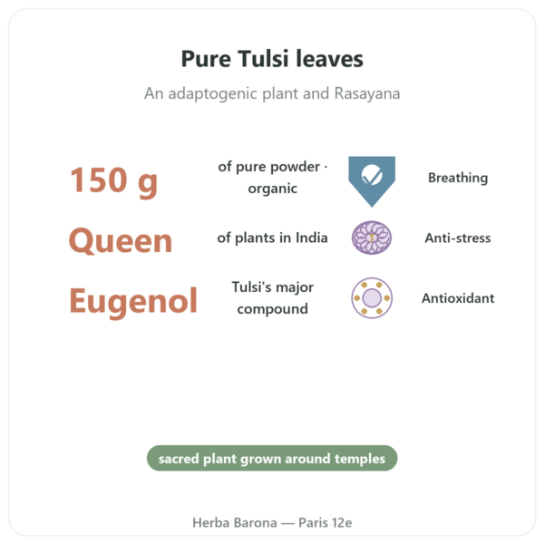 Organic Tulsi (Holy Basil) Powder – 150 g – Ayur-vana benefits and key facts Paris Herba Barona