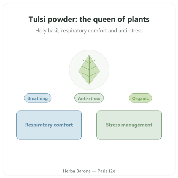 Organic Tulsi (Holy Basil) Powder – 150 g – Ayur-vana presentation Paris Herba Barona