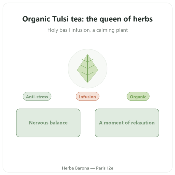 Organic Tulsi Tea - Ayur-vana - 25 sachets presentation Paris Herba Barona