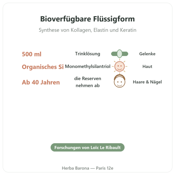 Organisches Silicium G5 – 500 ml Vorteile und Fakten Paris Herba Barona