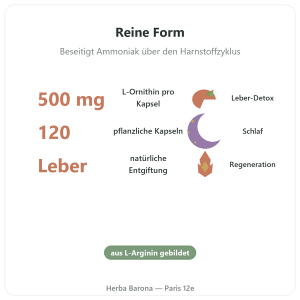 Ornithin 500 mg – 120 Kapseln – Now Foods Vorteile und Fakten Paris Herba Barona