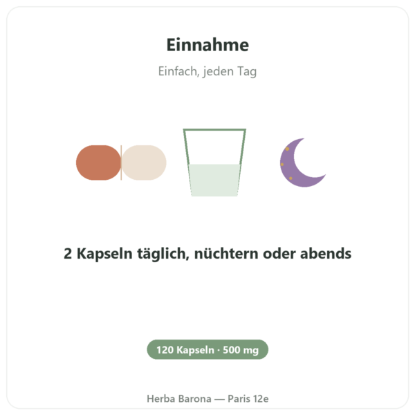 Ornithin 500 mg – 120 Kapseln – Now Foods Anwendung und Dosierung Paris Herba Barona