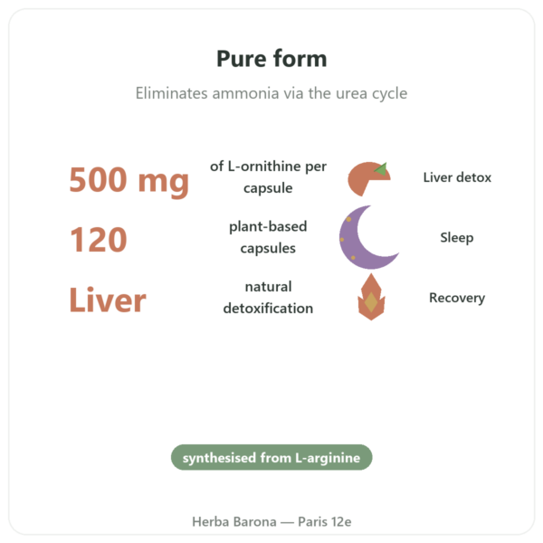 Ornithine 500 mg - 120 Capsules - Now Foods benefits and key facts Paris Herba Barona