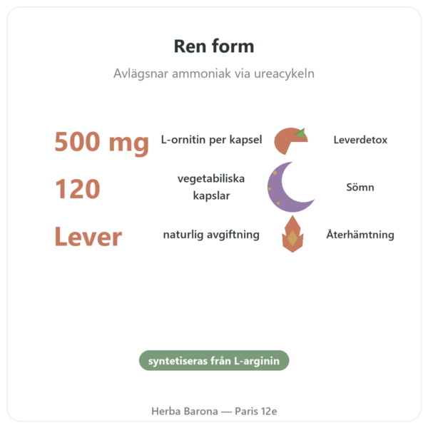 Ornitin 500 mg – 120 kapslar – Now Foods fördelar och nyckelfakta Paris Herba Barona