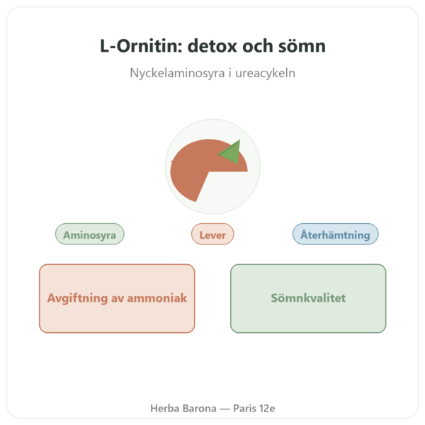Ornitin 500 mg – 120 kapslar – Now Foods presentation Paris Herba Barona