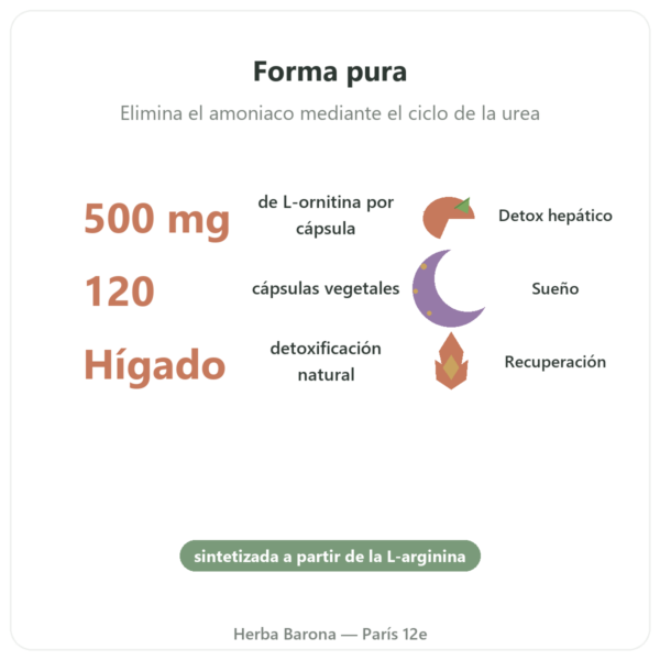 Ornitina 500 mg – 120 Cápsulas – Now Foods beneficios y datos clave Paris Herba Barona