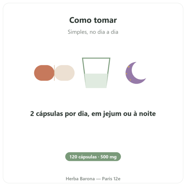 Ornitina 500 mg – 120 cápsulas – Now Foods modo de uso e dosagem Paris Herba Barona