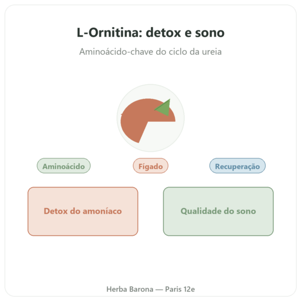 Ornitina 500 mg – 120 cápsulas – Now Foods apresentação Paris Herba Barona