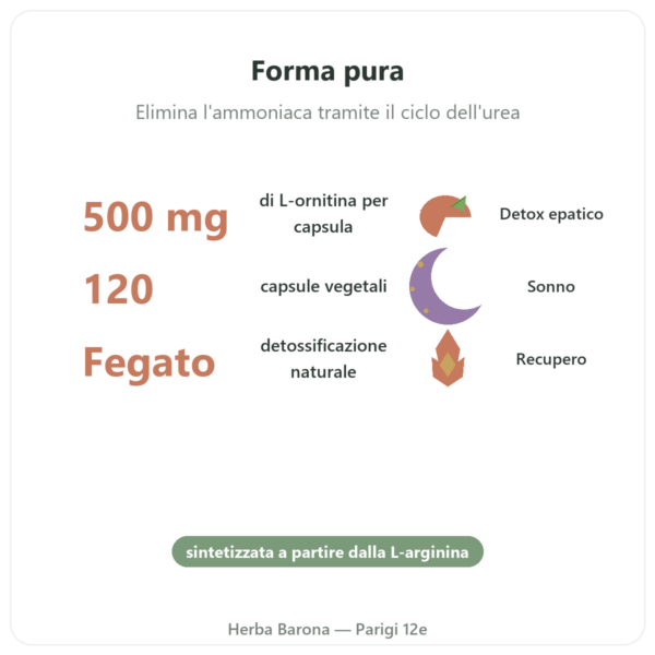 Ornitina 500 mg – 120 capsule – Now Foods benefici e dati chiave Paris Herba Barona