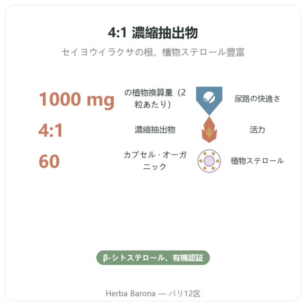 オーガニック ネトルルート – Dynveo – 4:1エキス – 60カプセル benefits and key facts Paris Herba Barona