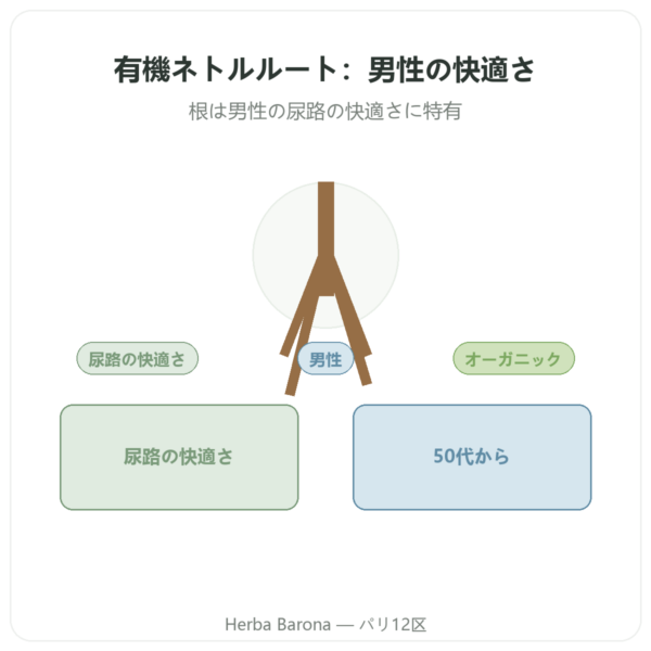 オーガニック ネトルルート – Dynveo – 4:1エキス – 60カプセル presentation Paris Herba Barona