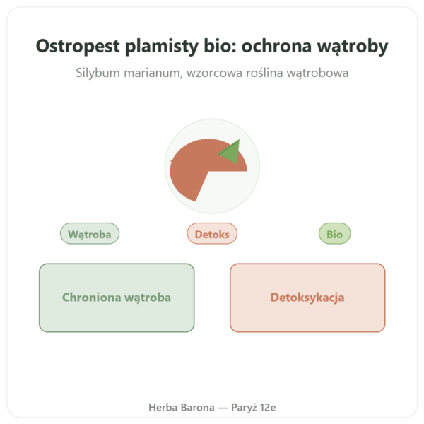 Ostropest plamisty bio Dynveo 60 kapsułek 200mg prezentacja Paris Herba Barona