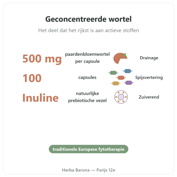 Dandelion Root Paardenbloemwortel Now Foods 500 mg voordelen en kerngegevens Paris Herba Barona