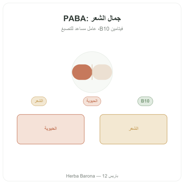 PABA 500 – 60 كبسولة – Dynveo عرض المنتج Paris Herba Barona