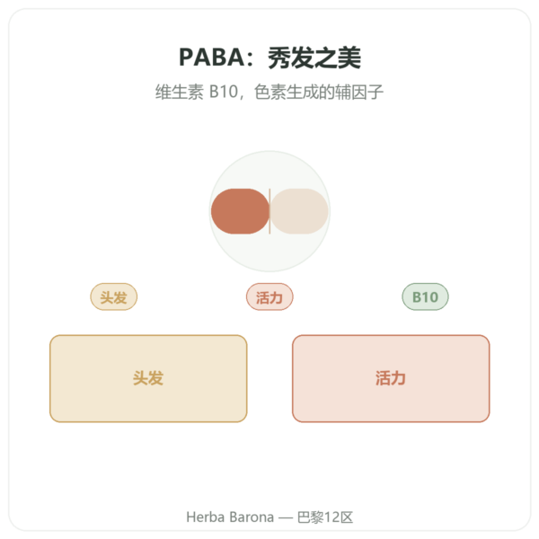 Paba 500 – 60 粒胶囊 Dynveo 产品展示 Paris Herba Barona