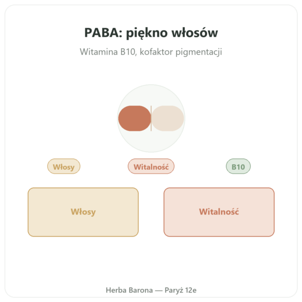 Paba 500 – 60 kaps. Dynveo prezentacja Paris Herba Barona