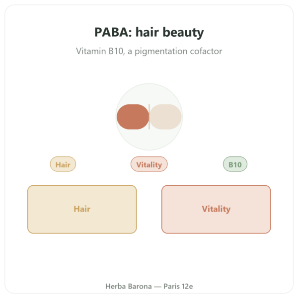 PABA 500 - Dynveo - 60 Capsules presentation Paris Herba Barona