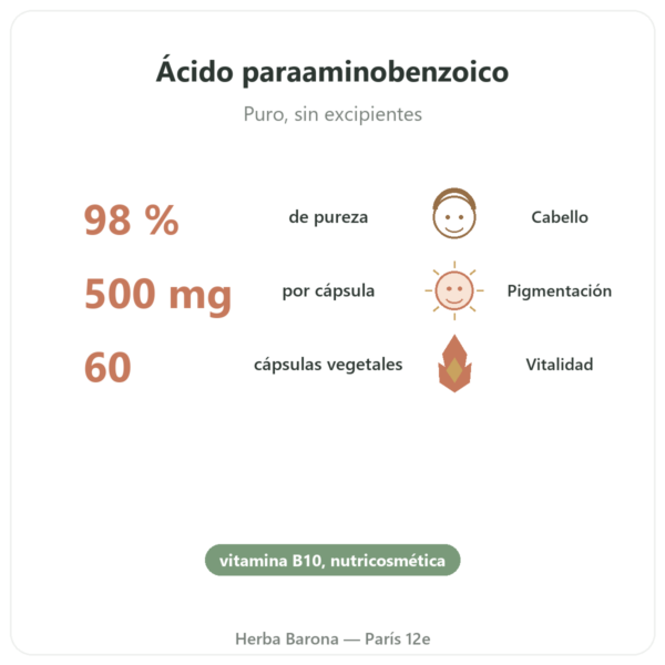 PABA 500 – 60 cápsulas – Dynveo beneficios y datos clave Paris Herba Barona