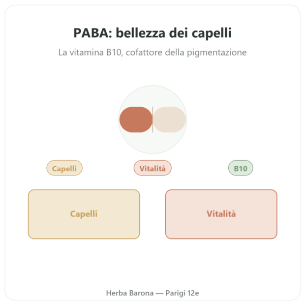 PABA 500 – 60 capsule – Dynveo presentazione Paris Herba Barona