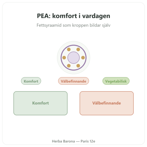Palmitoyletanolamid PEA Dynveo 90 Kapslar 400 mg presentation Paris Herba Barona