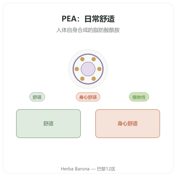 Dynveo 棕榈酰乙醇酰胺 PEA 90 粒胶囊 400 mg 产品展示 Paris Herba Barona