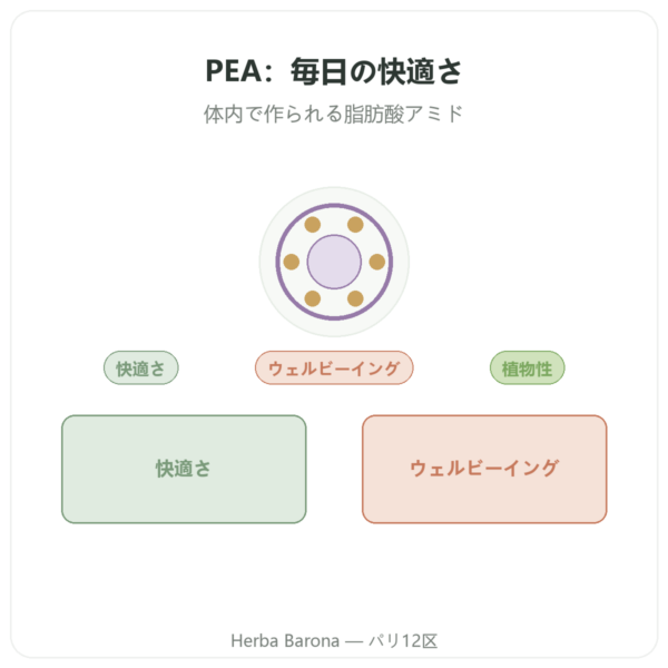 パルミトイルエタノールアミド PEA Dynveo 90カプセル 400 mg presentation Paris Herba Barona