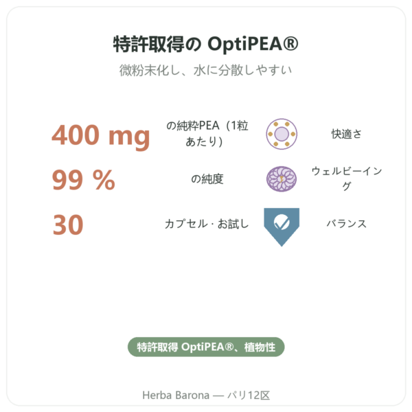 パルミトイルエタノールアミド PEA Dynveo 30カプセル 400 mg benefits and key facts Paris Herba Barona