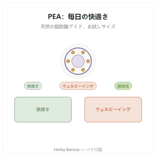 パルミトイルエタノールアミド PEA Dynveo 30カプセル 400 mg presentation Paris Herba Barona