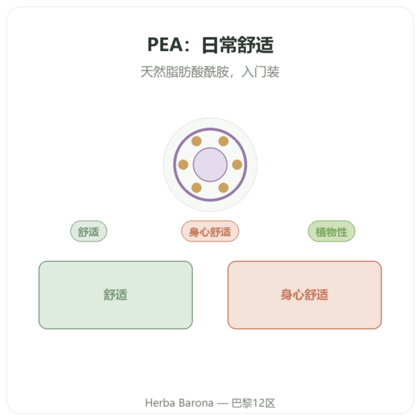 棕榈酰乙醇酰胺 PEA Dynveo 30 粒 400 mg 产品展示 Paris Herba Barona