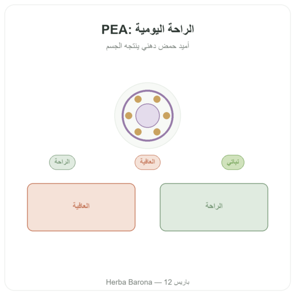 بالميتويل إيثانولاميد PEA – Dynveo – 90 كبسولة – 400 ملغ عرض المنتج Paris Herba Barona