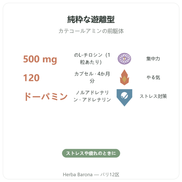 L-チロシン 500mg 120カプセル Doctor’s Best – アミノ酸 benefits and key facts Paris Herba Barona