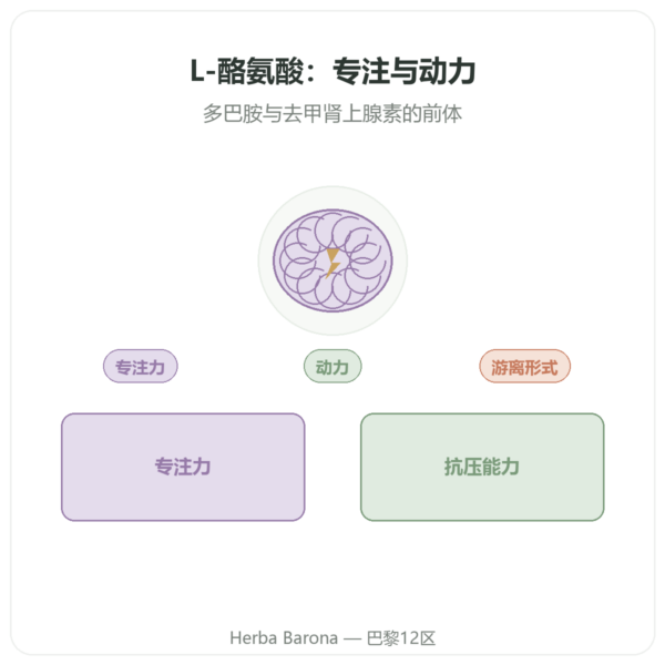L-酪氨酸 500mg 120 粒 Doctor's Best - 氨基酸 产品展示 Paris Herba Barona