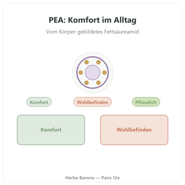 Palmitoylethanolamid PEA OptiPEA® – Dynveo – 90 Kapseln – 400 mg Vorstellung Paris Herba Barona