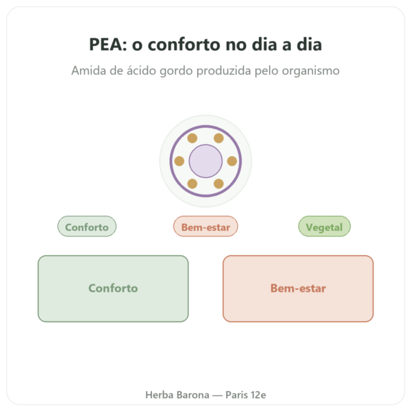 Palmitoiletanolamida PEA Dynveo 90 Cápsulas 400 mg apresentação Paris Herba Barona