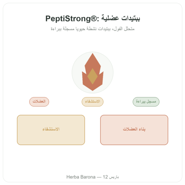 PeptiStrong® – Dynveo – 120 كبسولة عرض المنتج Paris Herba Barona