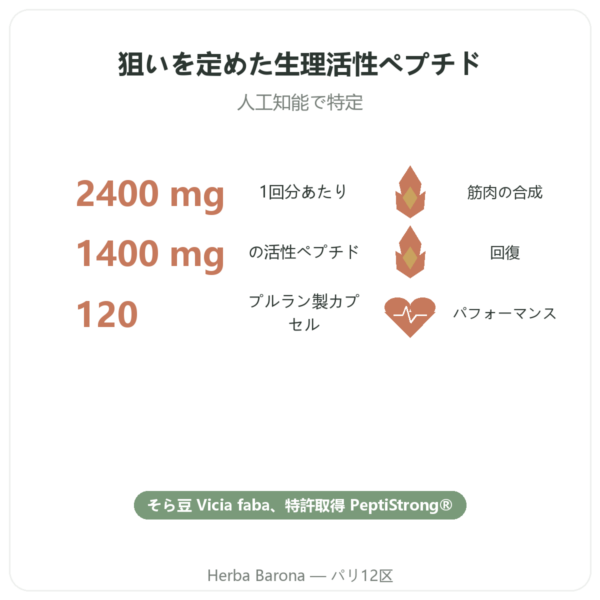 PeptiStrong® – Dynveo -120カプセル benefits and key facts Paris Herba Barona