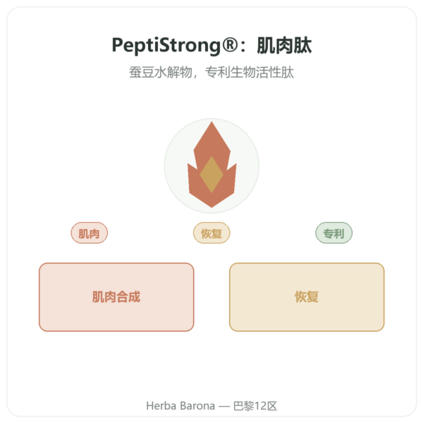 PeptiStrong® – Dynveo – 120 粒胶囊 产品展示 Paris Herba Barona