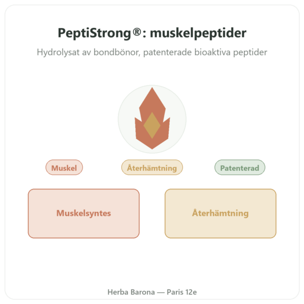 PeptiStrong® – Dynveo – 120 kapslar presentation Paris Herba Barona
