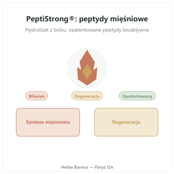 PeptiStrong® – Dynveo – 120 kapsułek prezentacja Paris Herba Barona