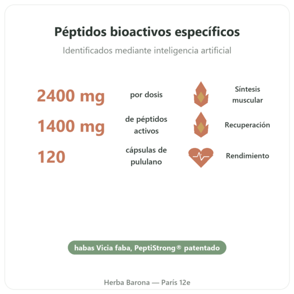 PeptiStrong® – Dynveo – 120 cápsulas beneficios y datos clave Paris Herba Barona