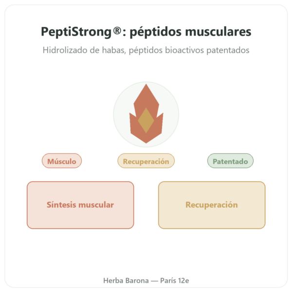 PeptiStrong® – Dynveo – 120 cápsulas presentación Paris Herba Barona