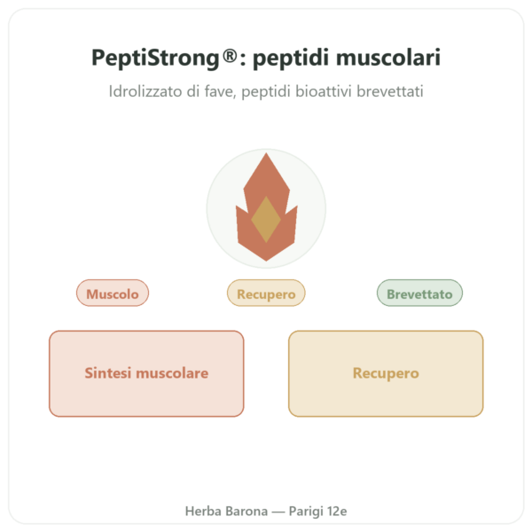 PeptiStrong® – Dynveo – 120 capsule presentazione Paris Herba Barona