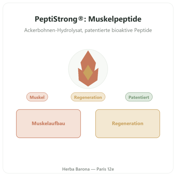 PeptiStrong® Bioaktive Peptide – Dynveo – 120 Kapseln Vorstellung Paris Herba Barona