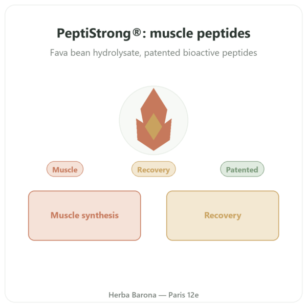 PeptiStrong - Dynveo - 120 capsules presentation Paris Herba Barona